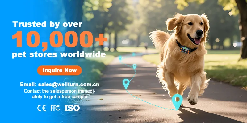 Best smart dog collar Supplier
