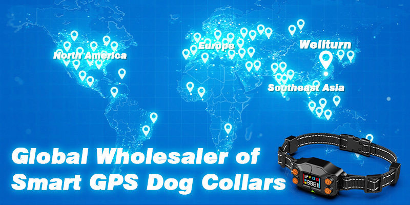 Global Wholesaler of Smart GPS Dog Collars