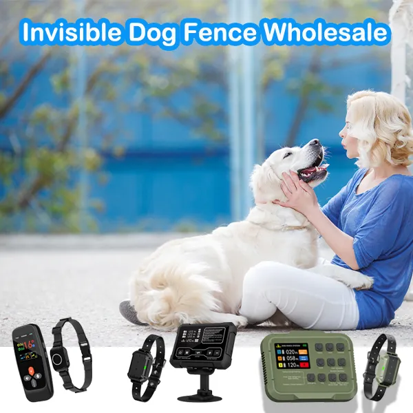 Invisible Dog Fence Wholesale