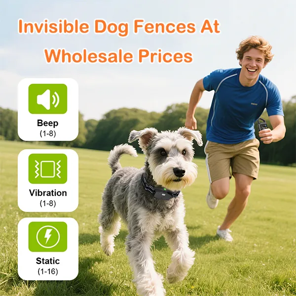 Invisible Dog Fences At Wholesale Prices