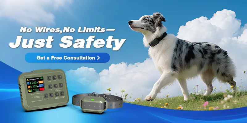 Invisible Dog Fences by Wellturn: Tailored for Your Pet's Needs