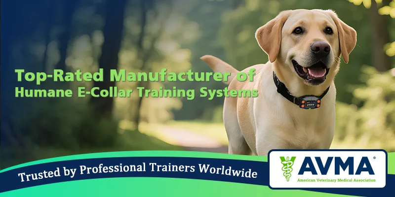 Humane E-Collar Training Systems