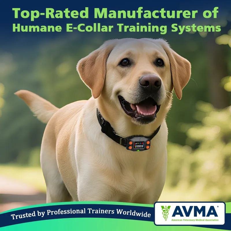 Humane E-Collar Training Systems
