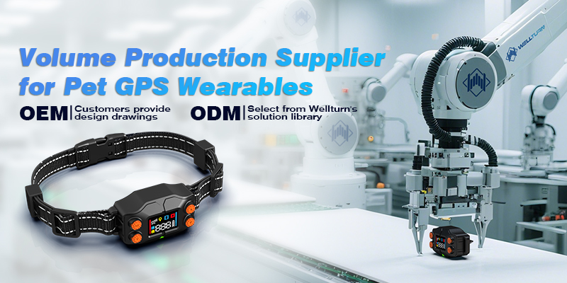 Supplier for Pet GPS Wearables