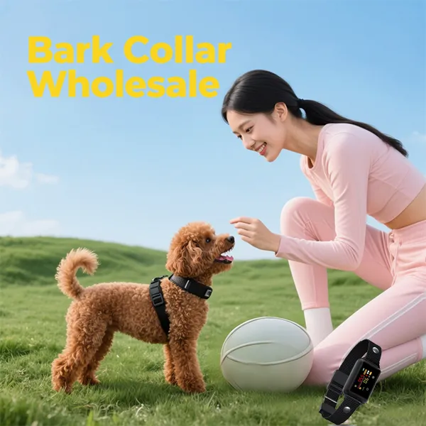 pet training collars wholesale