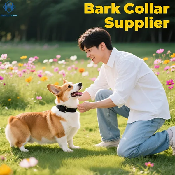 bark collar supplier,