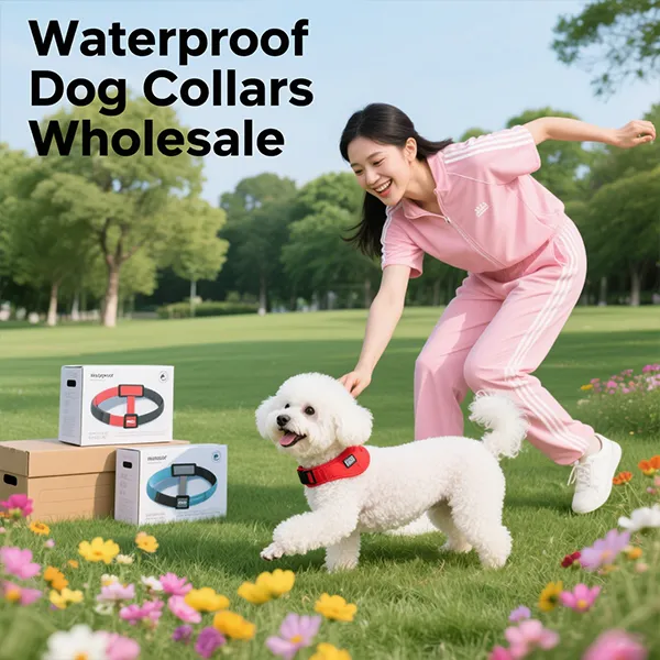 Waterproof Dog Collars Wholesale