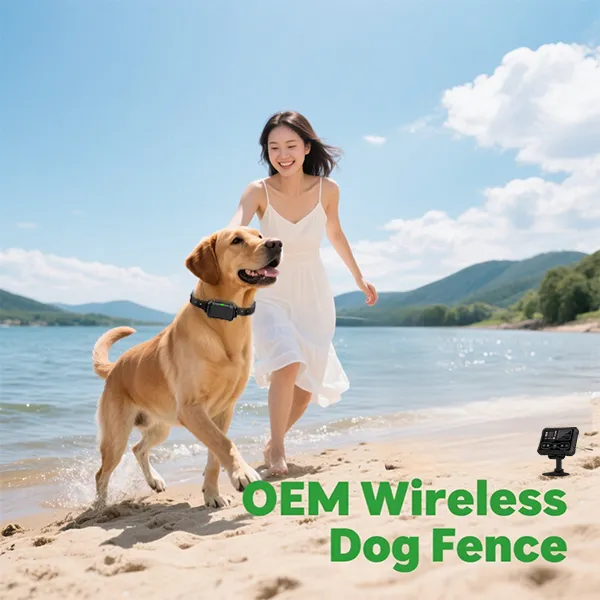 OEM wireless dog fence,