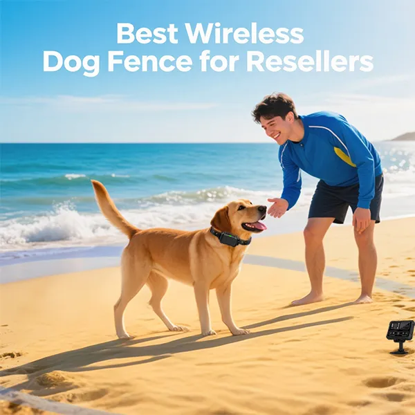 custom wireless dog fence manufacturer