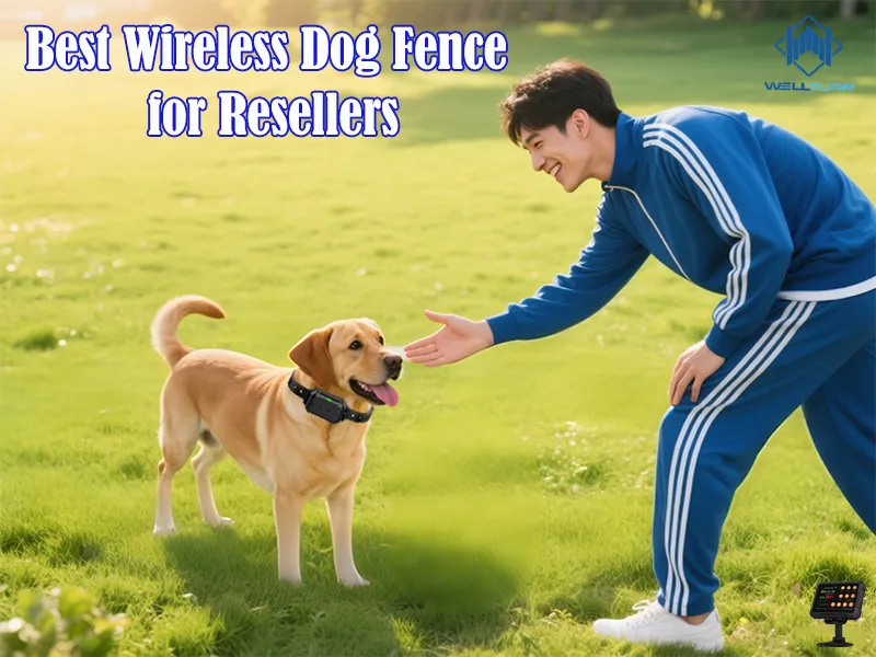 wireless pet fence OEM