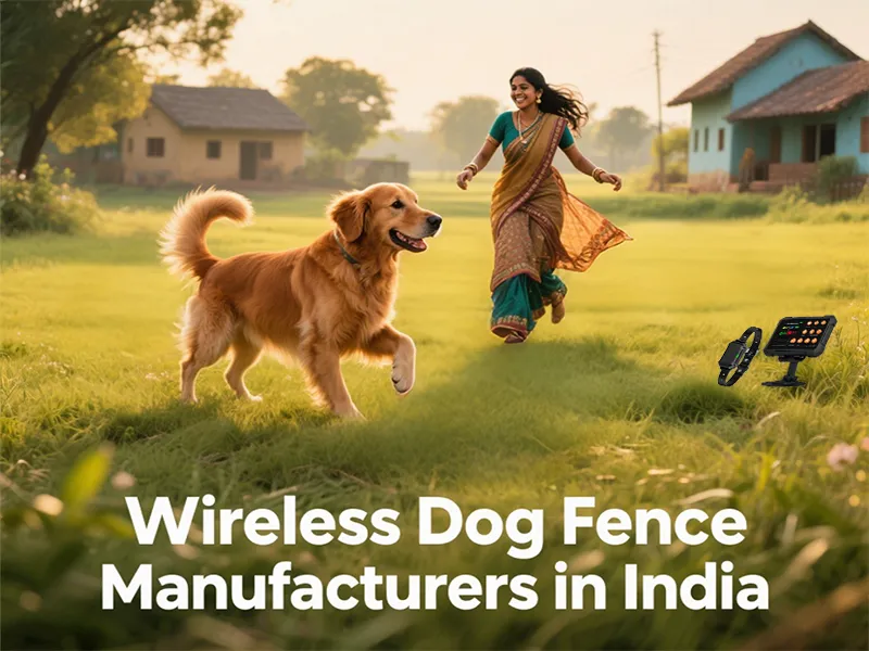 dog fence manufacturers India