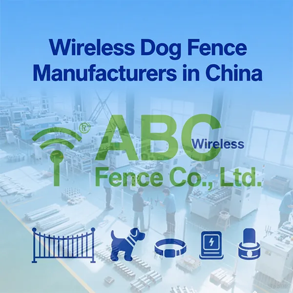 Wireless Dog Fence Manufacturers in China