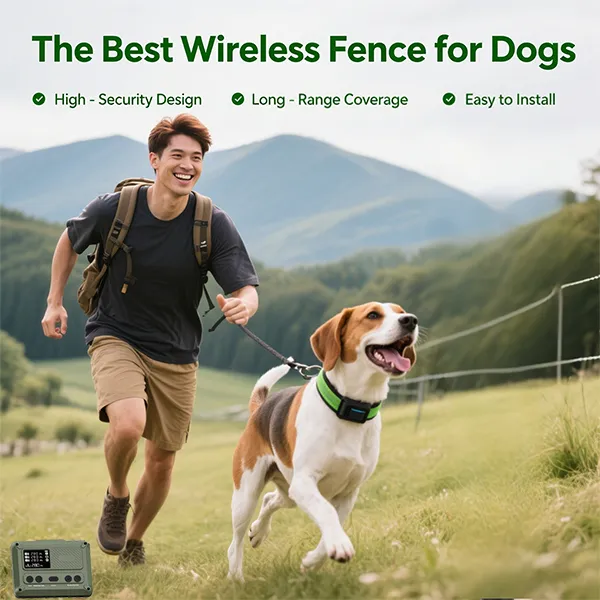 premier pet wireless fence