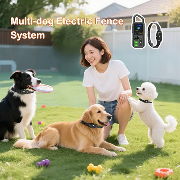 dog Electric Fence System