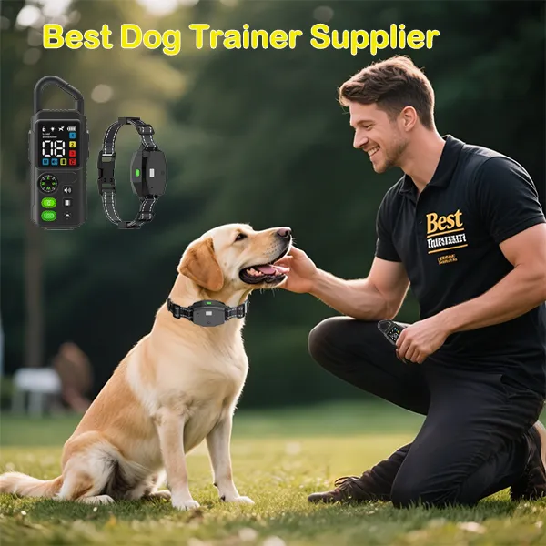 Best Dog Trainer Supplier