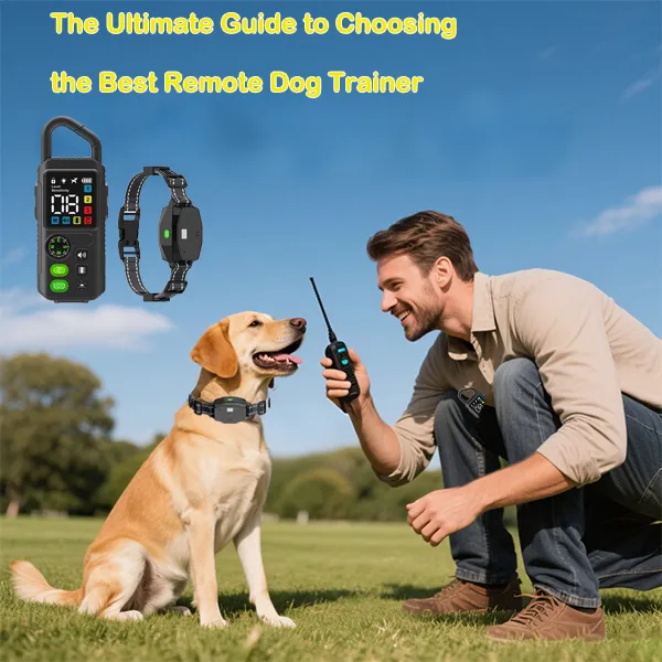 Best Dog Trainer Supplier