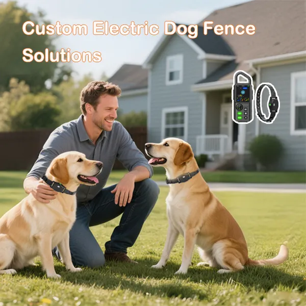 Custom electric dog fence